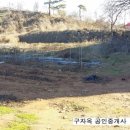 구자옥공인중개사사무소 이미지