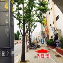 낙민역 4번출구 이미지