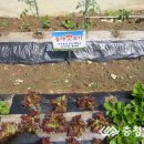 탄천면사무소 이미지