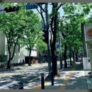 세무회계택스나 네이버블로그