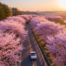 남부권 코스 | 경남 봄 여행 1박2일, 진해 여좌천·창원·통영 벚꽃 코스 총정리