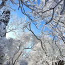 산인터널(순천) | 무등산의 축복같은 겨울눈꽃 산행
