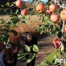 김기준농장 이미지