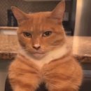 (주)더자일 | 앵콜 7번 해서 욕먹었는데 나한테는 가장 만족스러웠던 콘서트였던 “PUT YOUR PHONE DOWN 인천” 후기 1탄