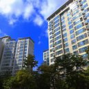 삼환나우빌(아) 이미지