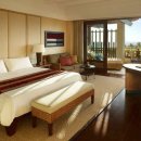 샹그리라 이미지