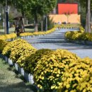 장수누리파크오토캠핑장 이미지