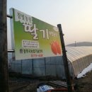 참빛농장 이미지