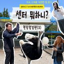 파수길 이미지