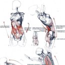 맥스토탈휘트니스 이미지