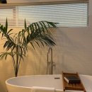 스테이 토랑 이미지