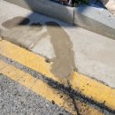 대전지족초교 이미지