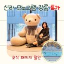 호텔뷰 | 강릉숙소 신라 모노그램 강릉 호텔 오션뷰 후기 | 벚꽃 시즌 조식포함 특가