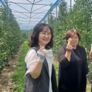 수형축산 이미지