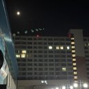 [강원도/평창] 웰리힐리리조트 :: 스탠다드룸 B 숙박 내돈내산 솔직리뷰