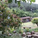 예그리나 펜션 이미지