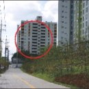 천안신안초등학교 이미지