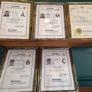 몽실몽실애견미용 이미지