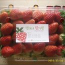 무공해 딸기 (4무) 이미지