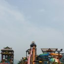 김해롯데워터파크 Daum카페