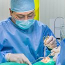 로이스치과의원 이미지