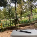 소래산작은도서관 이미지