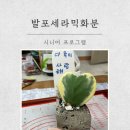 천진리경로당 네이버블로그