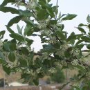 심정농장 이미지