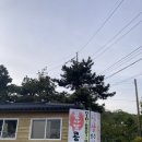 백령초등학교 | [백령도 여행 맛집탐방] 24년 5월 콩사랑 콩깍지 | 짬뽕순두부, 굴순두부 추천