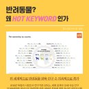 냥냥이세상 네이버블로그
