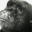 gc-camera-053 이미지