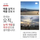 인셀덤잠실