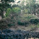 좌가연대 이미지