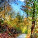 ＜계간 전북문학＞ 300호 출판 기념회 이미지