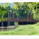 장자호수생태공원 이미지