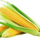 지앤비보습학원 이미지