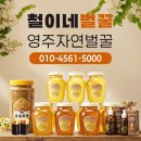 설천 농산물산지유통센터 | 영주시 벌꿀 벌꿀판매 꿀화분 프로폴리스 로열젤리 산지 직송으로 만나는 철이네벌꿀의 정직한 진심