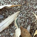 씨유 수원연꽃점 | 2023년 10월의 일상) 10월은 Dopamine Party💉