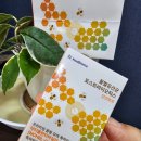 (주)노드큐어 | 건강과 다이어트를 한 번에! ‘당씬에게(꿀벌유산균 포스트바이오틱스)’ 솔직 리뷰
