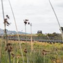 Harmony-ca 이미지