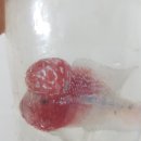 워터월드코리아 이미지