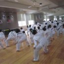 월드베스트태권도 이미지