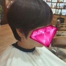 보배로이헤어