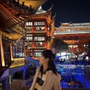 62 | ˚✧상하이 62시간 경유여행 후기 (上)✧˚