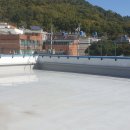 대구외국어고등학교 이미지