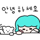 까사338(Casa338) 이미지