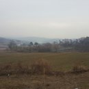 성성2교차로1-1, 1-2 Daum카페