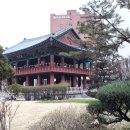 3.1운동길B 이미지