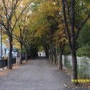 한탑공인중개사사무소 이미지