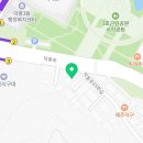 해적왕테라피